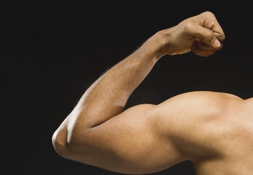 肌肉会转化成脂肪吗？